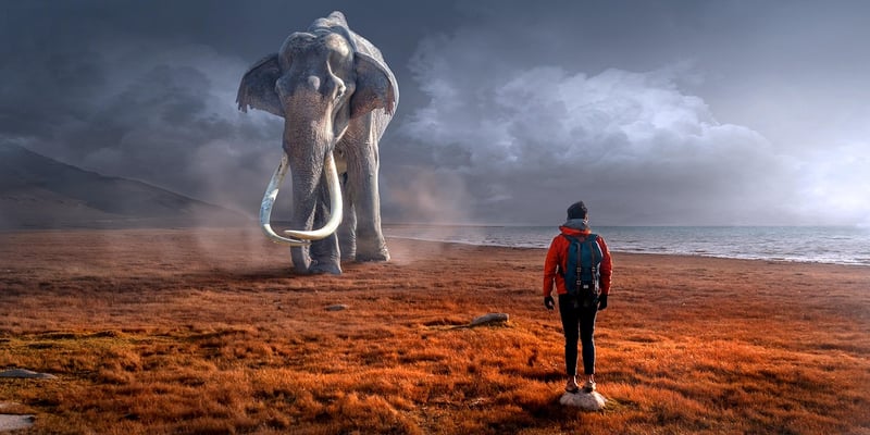 Eerie Encounters
